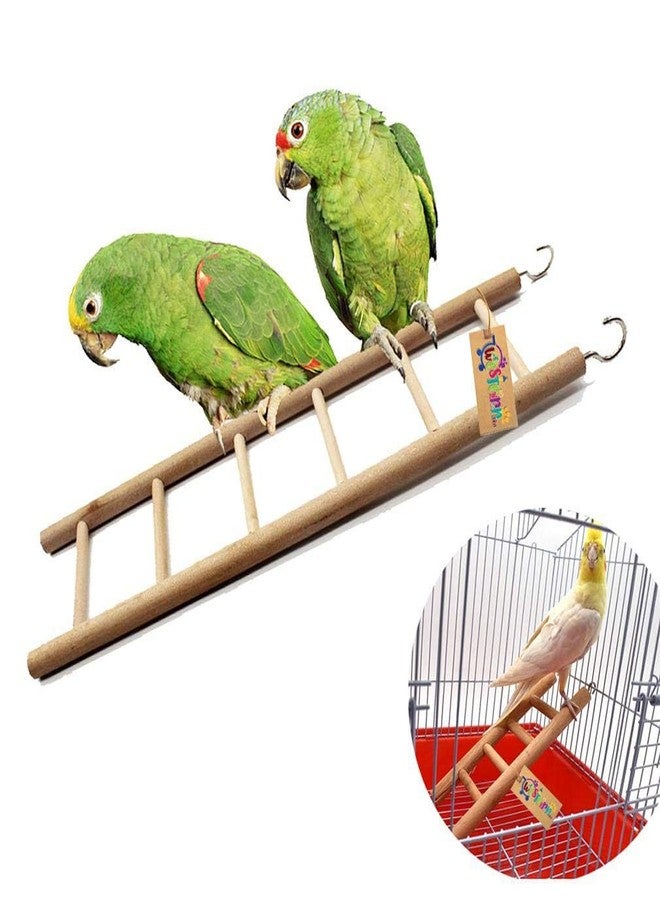 Western Era Bird Fun Natural Wooden Ladder Toy for Training and Exercise, with Hooks to Hang on, Designed for Birds, Parrot, Budgies, and Other Small, Medium Large Bird, 3 Level / 18.5cm - Image 3